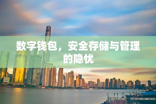 数字钱包，安全存储与管理的隐忧