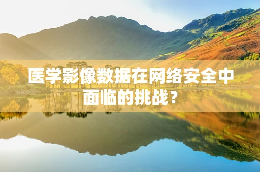 医学影像数据在网络安全中面临的挑战？