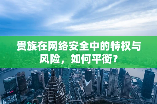 贵族在网络安全中的特权与风险，如何平衡？