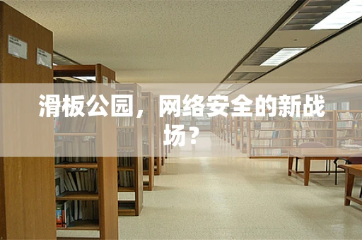滑板公园，网络安全的新战场？