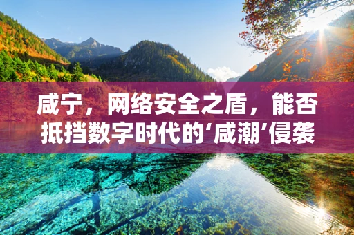 咸宁，网络安全之盾，能否抵挡数字时代的‘咸潮’侵袭？