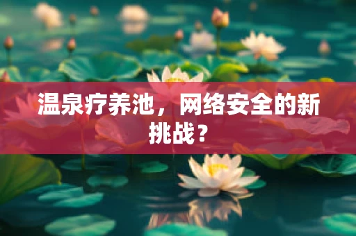 温泉疗养池，网络安全的新挑战？