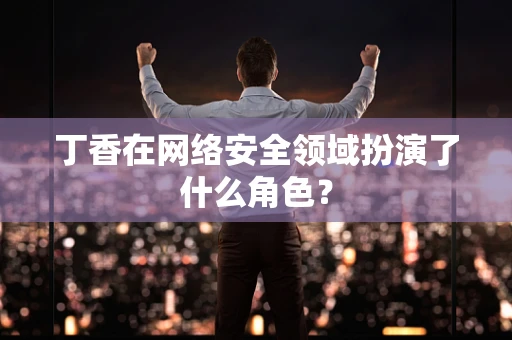 丁香在网络安全领域扮演了什么角色？