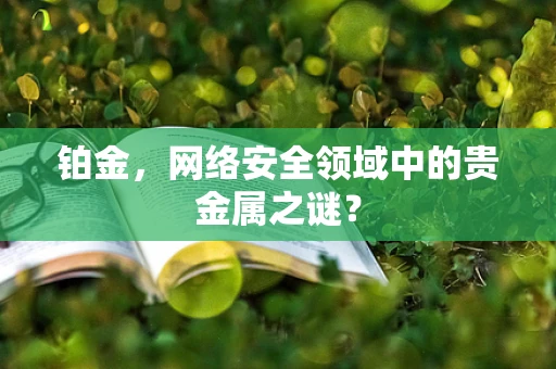 铂金，网络安全领域中的贵金属之谜？