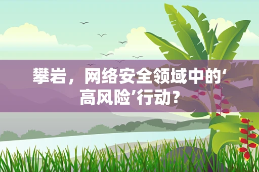 攀岩，网络安全领域中的‘高风险’行动？