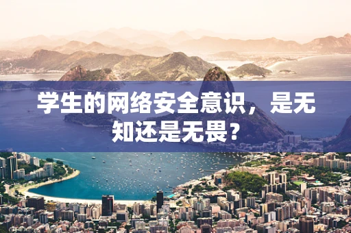 学生的网络安全意识，是无知还是无畏？