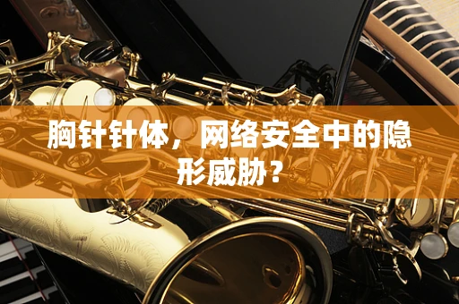 胸针针体，网络安全中的隐形威胁？