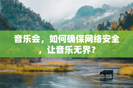 音乐会，如何确保网络安全，让音乐无界？