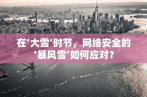 在‘大雪’时节，网络安全的‘暴风雪’如何应对？