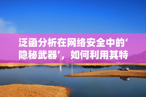 泛函分析在网络安全中的‘隐秘武器’，如何利用其特性增强系统韧性？