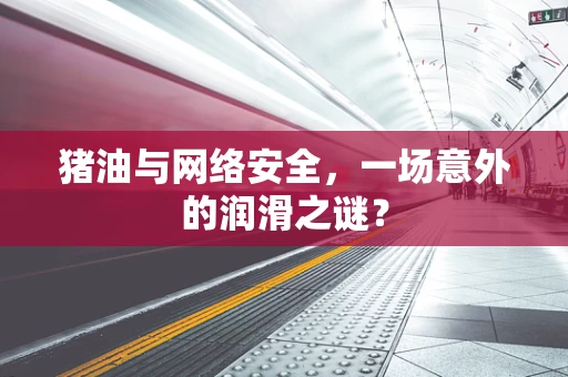 猪油与网络安全，一场意外的润滑之谜？