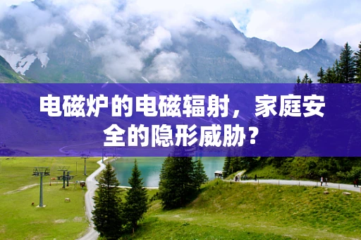 电磁炉的电磁辐射，家庭安全的隐形威胁？