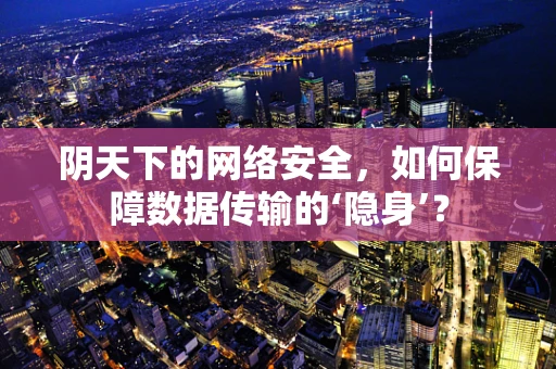 阴天下的网络安全，如何保障数据传输的‘隐身’？