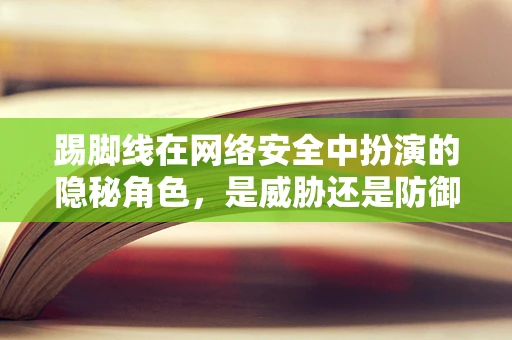 踢脚线在网络安全中扮演的隐秘角色，是威胁还是防御的利器？
