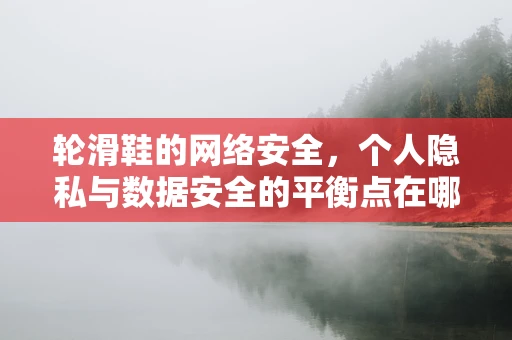 轮滑鞋的网络安全，个人隐私与数据安全的平衡点在哪里？