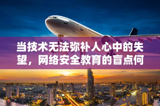 当技术无法弥补人心中的失望，网络安全教育的盲点何在？