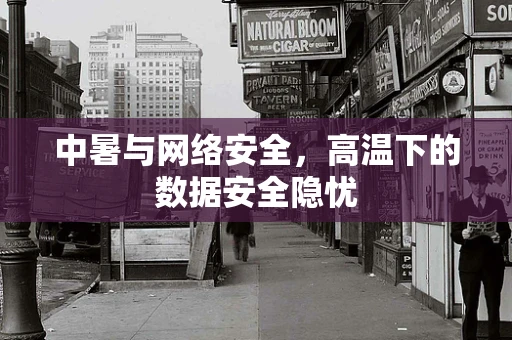中暑与网络安全，高温下的数据安全隐忧