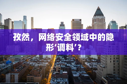 孜然，网络安全领域中的隐形‘调料’？