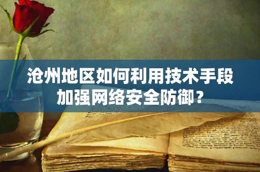 沧州地区如何利用技术手段加强网络安全防御？