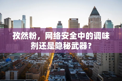 孜然粉，网络安全中的调味剂还是隐秘武器？