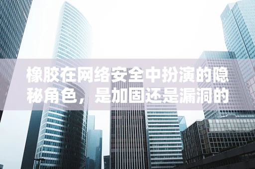 橡胶在网络安全中扮演的隐秘角色，是加固还是漏洞的温床？