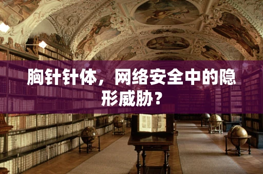 胸针针体，网络安全中的隐形威胁？