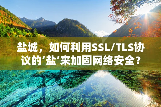 盐城，如何利用SSL/TLS协议的‘盐’来加固网络安全？