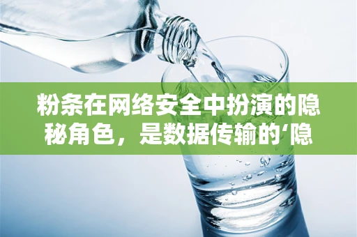 粉条在网络安全中扮演的隐秘角色，是数据传输的‘隐形卫士’吗？
