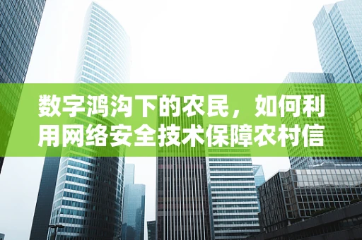 数字鸿沟下的农民，如何利用网络安全技术保障农村信息的安全与隐私？