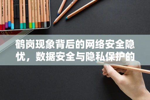 鹤岗现象背后的网络安全隐忧，数据安全与隐私保护的挑战