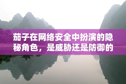 茄子在网络安全中扮演的隐秘角色，是威胁还是防御的利器？