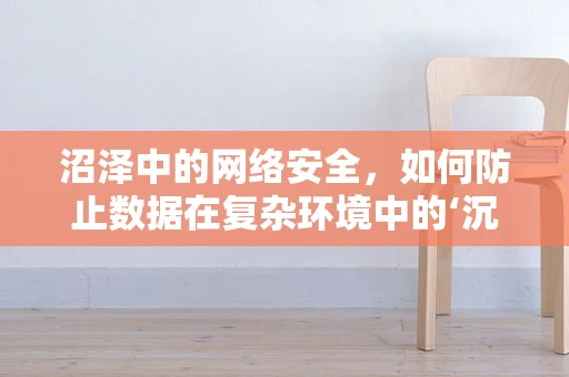 沼泽中的网络安全，如何防止数据在复杂环境中的‘沉沦’？
