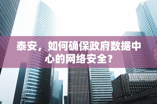 泰安，如何确保政府数据中心的网络安全？