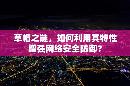 草帽之谜，如何利用其特性增强网络安全防御？