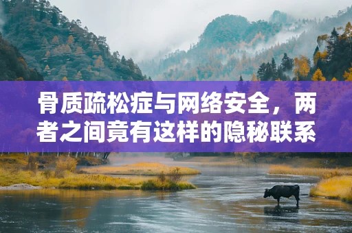 骨质疏松症与网络安全，两者之间竟有这样的隐秘联系？