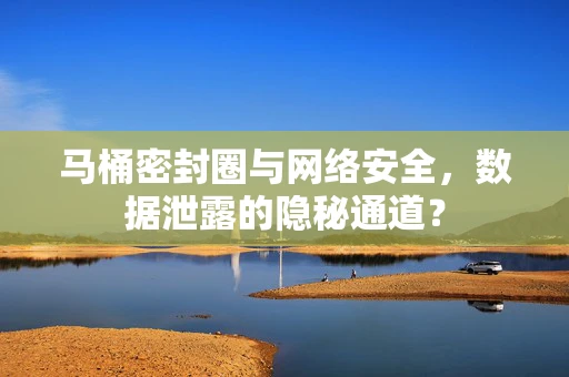 马桶密封圈与网络安全，数据泄露的隐秘通道？