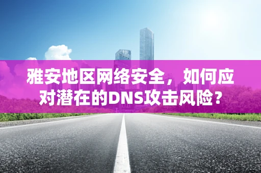 雅安地区网络安全，如何应对潜在的DNS攻击风险？