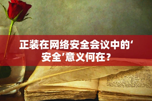 正装在网络安全会议中的‘安全’意义何在？