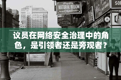 议员在网络安全治理中的角色，是引领者还是旁观者？