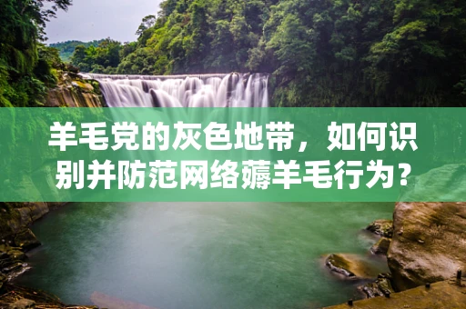 羊毛党的灰色地带，如何识别并防范网络薅羊毛行为？