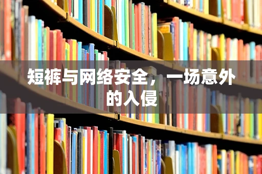 短裤与网络安全，一场意外的入侵