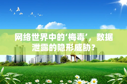 网络世界中的‘梅毒’，数据泄露的隐形威胁？