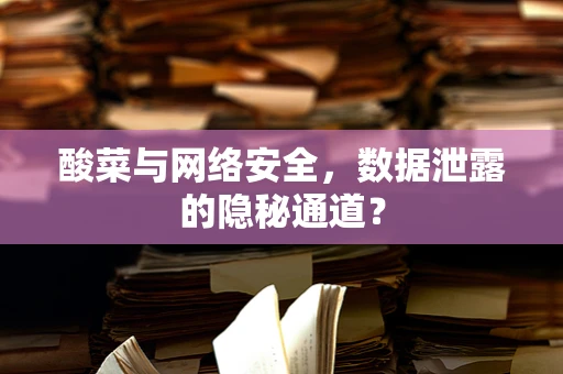 酸菜与网络安全，数据泄露的隐秘通道？
