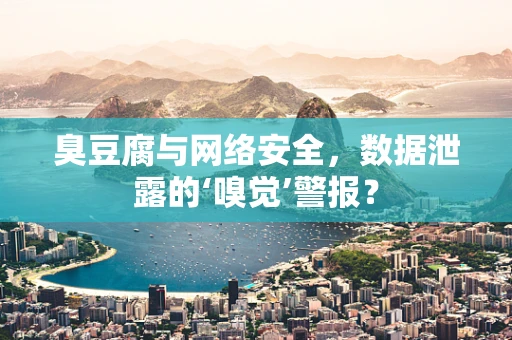 臭豆腐与网络安全，数据泄露的‘嗅觉’警报？
