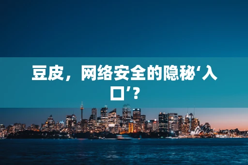 豆皮，网络安全的隐秘‘入口’？