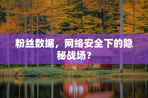 粉丝数据，网络安全下的隐秘战场？