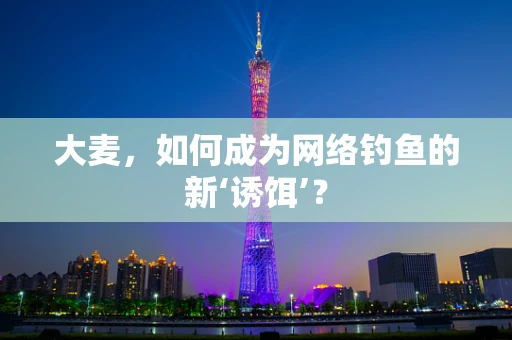 大麦，如何成为网络钓鱼的新‘诱饵’？