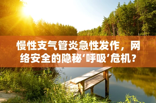 慢性支气管炎急性发作，网络安全的隐秘‘呼吸’危机？