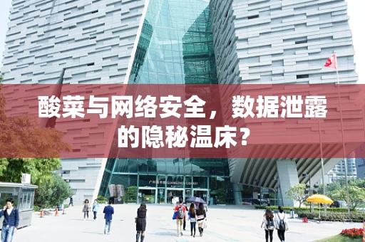 酸菜与网络安全，数据泄露的隐秘温床？