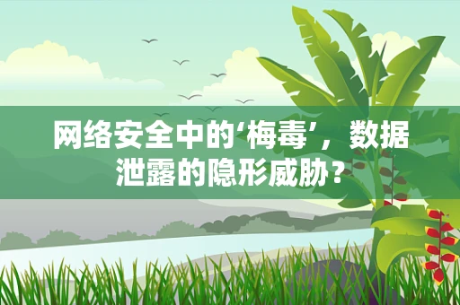网络安全中的‘梅毒’，数据泄露的隐形威胁？
